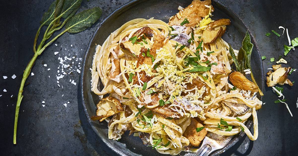 Jinsiy aloqa Gotel Sofiyani hayratda qoldirdi Skyrim uchun yalangoch ayollar